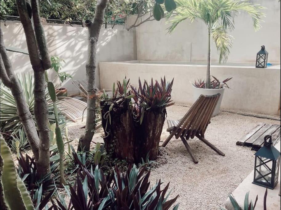 Hotel Boutique Kaa Mérida Exteriér fotografie